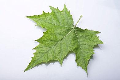 《原子之心》Bug导致Xbox Game Pass玩家无法完成序章任务